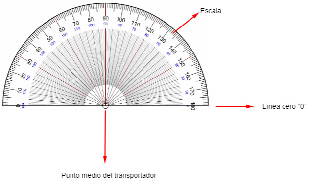 Partes del transportador