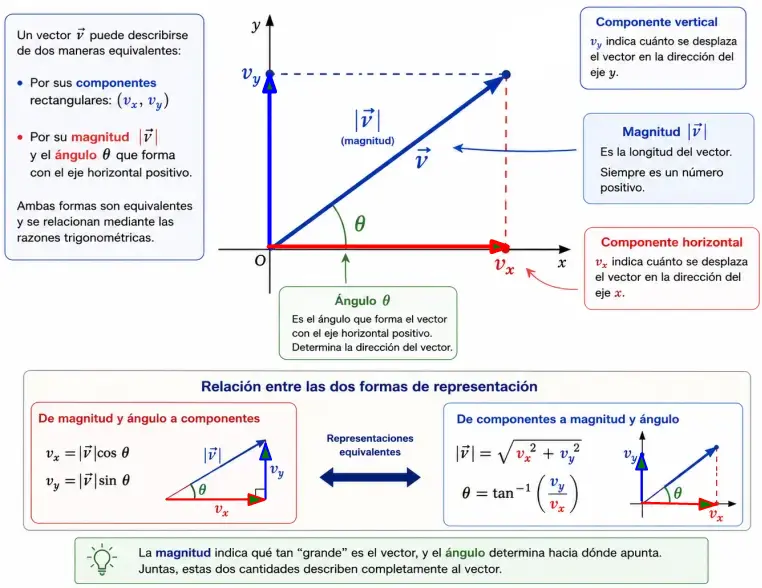 Dirección componentes magnitud del vector