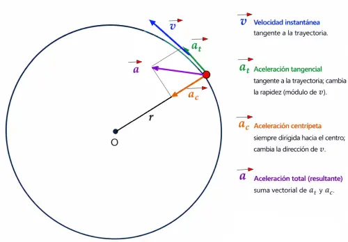 Diagrama del movimiento circular uniformemente acelerado (MCUA) con los vectores de velocidad, aceleración centrípeta, tangencial y total