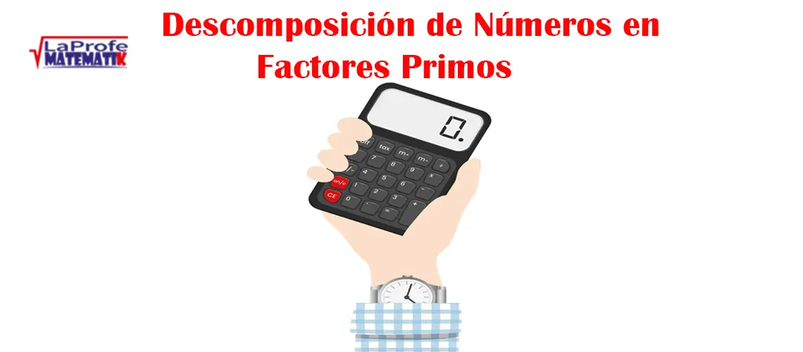 Descomposición de Números en Factores Primos