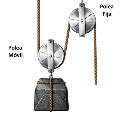 Polea fija y móvil