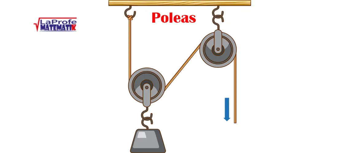 Poleas en física