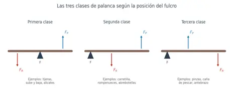 Comparación de las tres clases de palanca según la posición del fulcro, la fuerza de potencia y la fuerza de resistencia, con ejemplos cotidianos de cada una