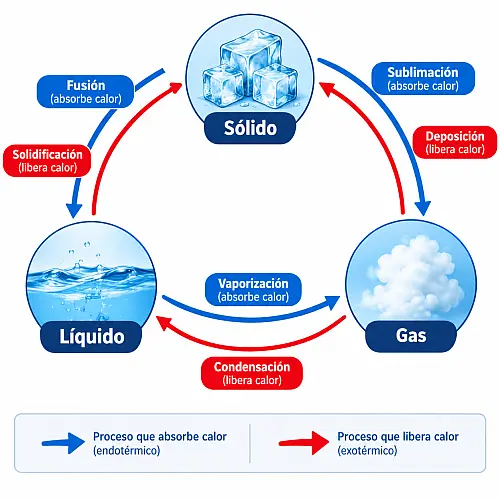 Diagrama circular con tres nodos (sólido, líquido, gas) conectados por seis flechas curvas etiquetadas fusión, solidificación, vaporización, condensación, sublimación y deposición, coloreadas en azul para procesos que absorben calor y en rojo para los que liberan calor